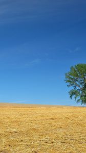 Preview wallpaper field, economy, hay, straw, preparation, summer, tree
