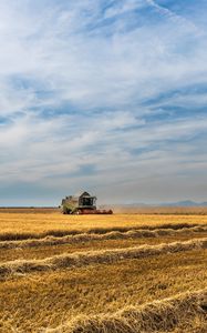 Preview wallpaper field, farm, crop, field crops