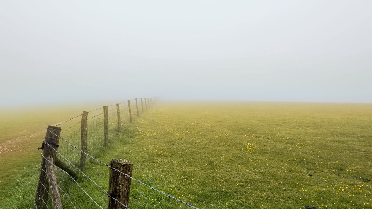 Wallpaper field, fence, fog, nature