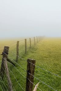 Preview wallpaper field, fence, fog, nature