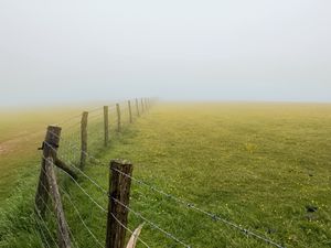 Preview wallpaper field, fence, fog, nature