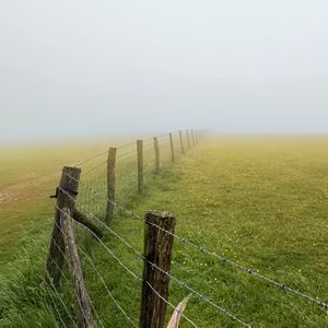 Preview wallpaper field, fence, fog, nature