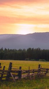 Preview wallpaper field, fence, forest, nature