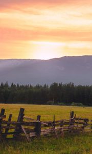 Preview wallpaper field, fence, forest, nature