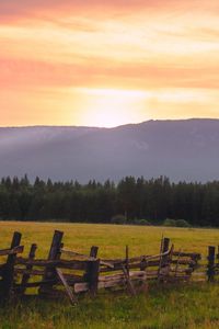 Preview wallpaper field, fence, forest, nature