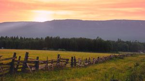 Preview wallpaper field, fence, forest, nature