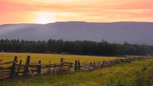 Preview wallpaper field, fence, forest, nature