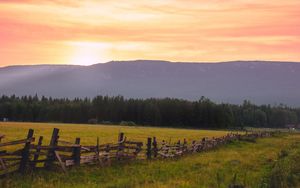 Preview wallpaper field, fence, forest, nature