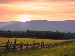 Preview wallpaper field, fence, forest, nature