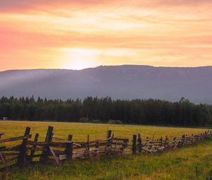 Preview wallpaper field, fence, forest, nature