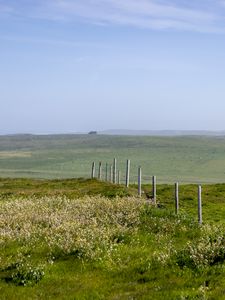 Preview wallpaper field, fence, hills, greenery, landscape