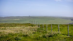 Preview wallpaper field, fence, hills, greenery, landscape