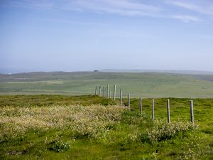 Preview wallpaper field, fence, hills, greenery, landscape