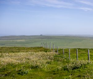 Preview wallpaper field, fence, hills, greenery, landscape