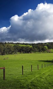 Preview wallpaper field, fence, pasture, traces, greens, grass, clouds