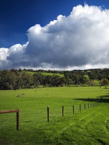 Preview wallpaper field, fence, pasture, traces, greens, grass, clouds