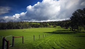 Preview wallpaper field, fence, pasture, traces, greens, grass, clouds