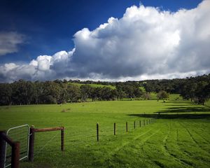 Preview wallpaper field, fence, pasture, traces, greens, grass, clouds