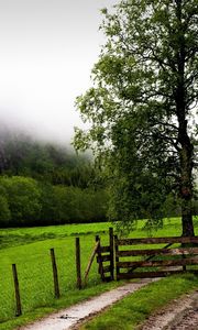 Preview wallpaper field, fence, protection, trees, possession