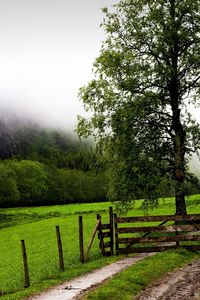 Preview wallpaper field, fence, protection, trees, possession