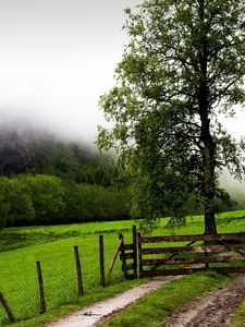 Preview wallpaper field, fence, protection, trees, possession