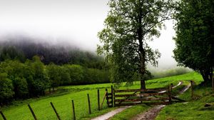 Preview wallpaper field, fence, protection, trees, possession