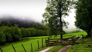 Preview wallpaper field, fence, protection, trees, possession