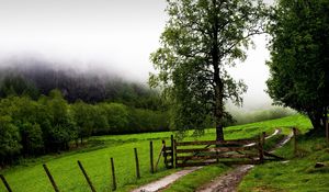 Preview wallpaper field, fence, protection, trees, possession