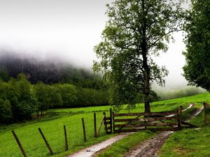 Preview wallpaper field, fence, protection, trees, possession