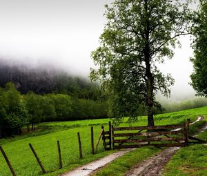 Preview wallpaper field, fence, protection, trees, possession