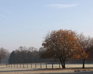 Preview wallpaper field, fence, trees, frosts, morning, hoarfrost, cool, autumn, october