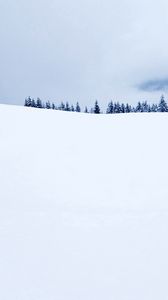 Preview wallpaper field, fir-trees, snow, cover, winter