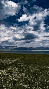 Preview wallpaper field, flowers, clouds, mountains