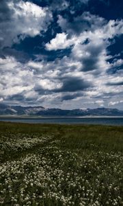 Preview wallpaper field, flowers, clouds, mountains