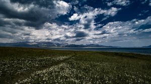Preview wallpaper field, flowers, clouds, mountains