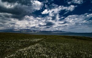 Preview wallpaper field, flowers, clouds, mountains