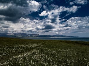 Preview wallpaper field, flowers, clouds, mountains