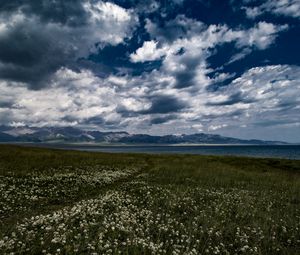 Preview wallpaper field, flowers, clouds, mountains