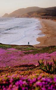 Preview wallpaper field, flowers, coast, sea, silhouette