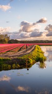 Preview wallpaper field, flowers, lake, landscape