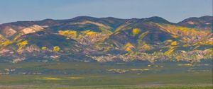 Preview wallpaper field, flowers, mountains, nature, landscape
