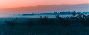 Preview wallpaper field, fog, dawn, grass, landscape, forest