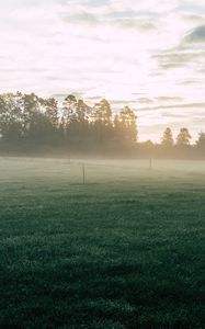 Preview wallpaper field, fog, grass, trees, dawn, sunrise