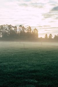 Preview wallpaper field, fog, grass, trees, dawn, sunrise