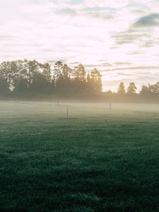 Preview wallpaper field, fog, grass, trees, dawn, sunrise