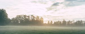 Preview wallpaper field, fog, grass, trees, dawn, sunrise