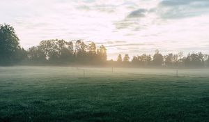Preview wallpaper field, fog, grass, trees, dawn, sunrise