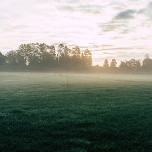 Preview wallpaper field, fog, grass, trees, dawn, sunrise