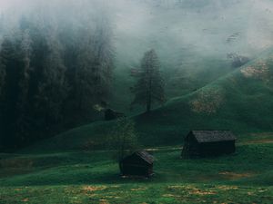 Preview wallpaper field, fog, ladinia, dolomites, italy