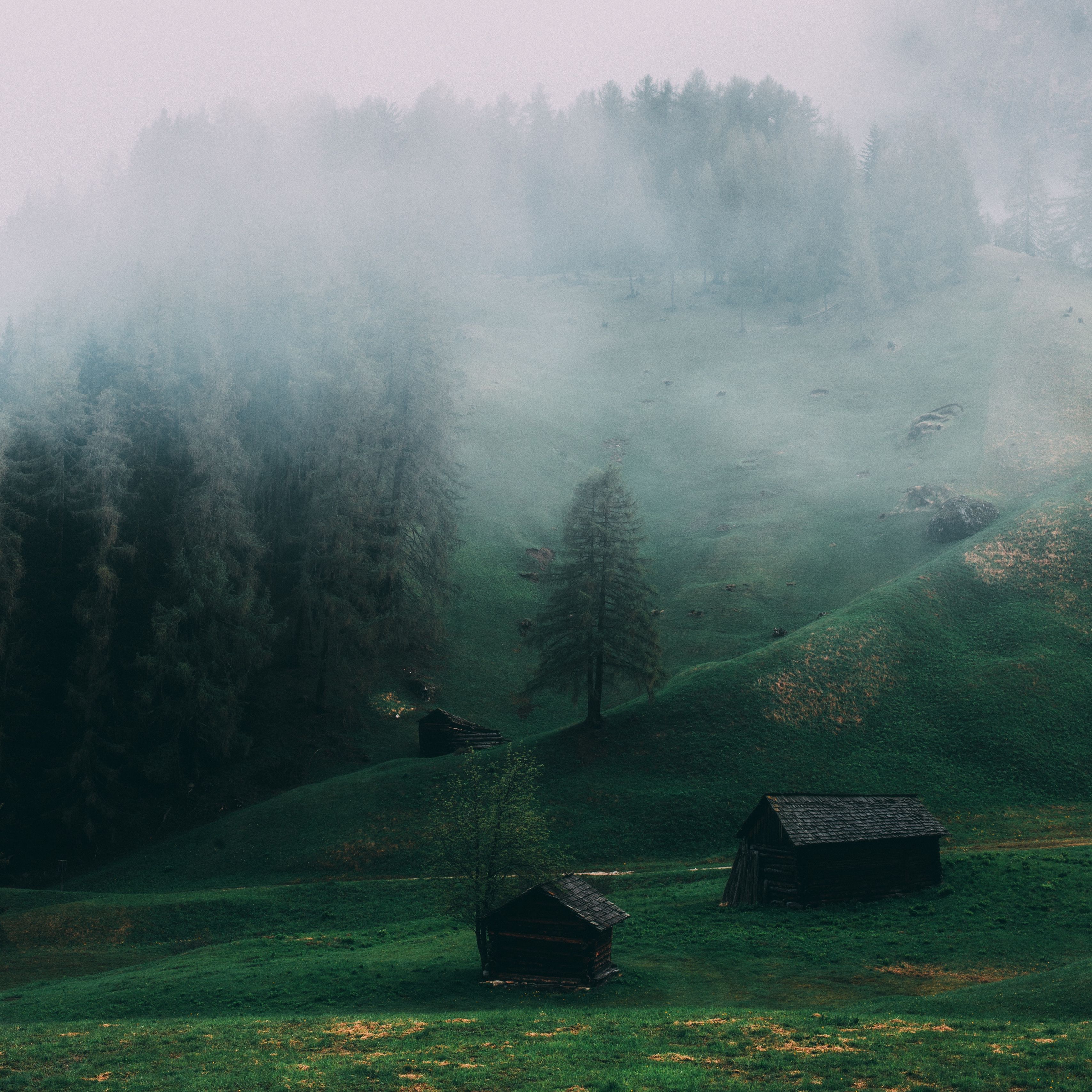 3415x3415 Wallpaper field, fog, ladinia, dolomites, italy